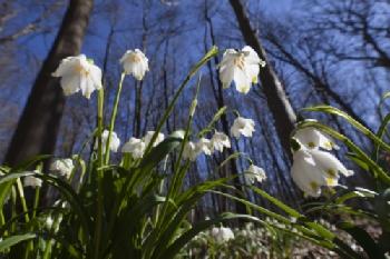 BEW1BFFD3AF_EDITORIAL_HiRes