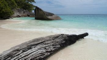 BEW1C301245_EDITORIAL_HiRes