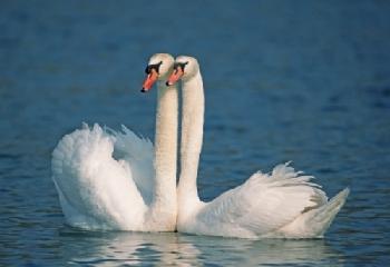 BEW1C33AF7B_EDITORIAL_HiRes-1