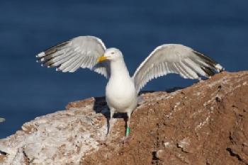 BEW1C33B4BF_EDITORIAL_HiRes-1