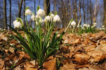 BEW1C33BD04_EDITORIAL_HiRes