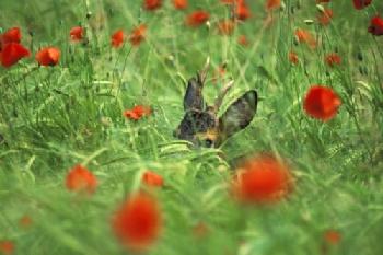 BEW1C37BB35_EDITORIAL_HiRes