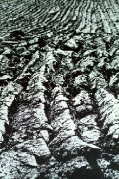 BEW1C38F654_EDITORIAL_HiRes