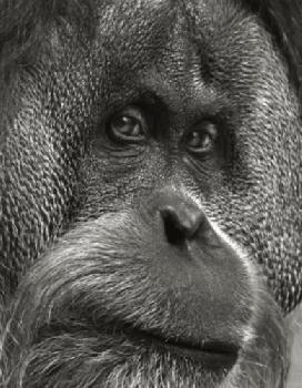 BEW1C3DE65C_EDITORIAL_HiRes