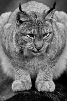 BEW1C6A4889_EDITORIAL_HiRes