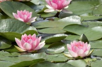 BEW1C700287_EDITORIAL_HiRes