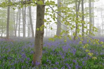 BEW1C748AD6_EDITORIAL_HiRes