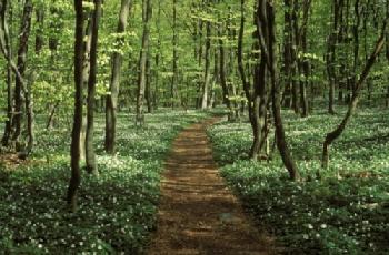 BEW1C7BDE65_EDITORIAL_HiRes