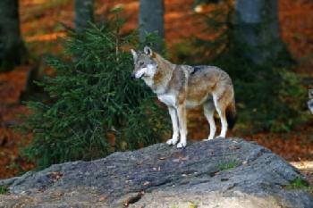 BEW1C7C2470_EDITORIAL_HiRes