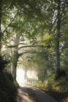 BEW1C8509FC_EDITORIAL_HiRes-1