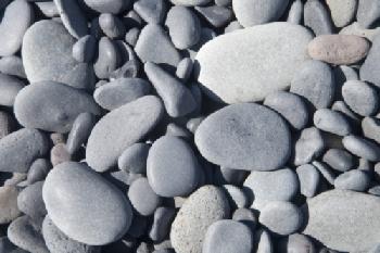 BEW1C884071_EDITORIAL_HiRes