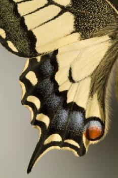 BEW1C906892_EDITORIAL_HiRes