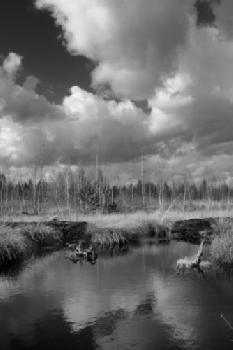 BEW1C9082D3_EDITORIAL_HiRes