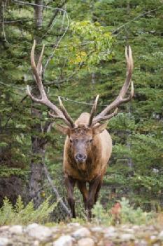 BEW1C959965_EDITORIAL_HiRes