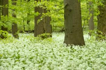 BEW1C96371E_EDITORIAL_HiRes