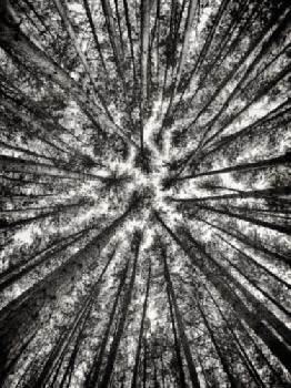 BEW1CB48B78_EDITORIAL_HiRes