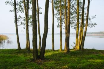 BEW1CD28689_EDITORIAL_HiRes