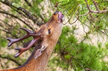 BEW1CD3C681_EDITORIAL_HiRes