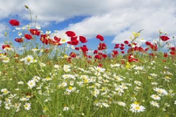 BEW1CD7D188_EDITORIAL_HiRes