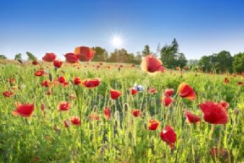 BEW1CD7D195_EDITORIAL_HiRes