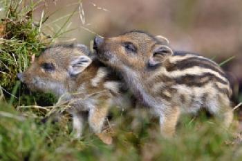 BEW1CD97E26_EDITORIAL_HiRes