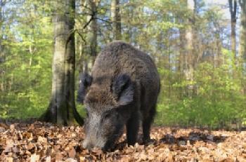 BEW1CD97E27_EDITORIAL_HiRes