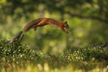 BEW1CE423AF_EDITORIAL_HiRes