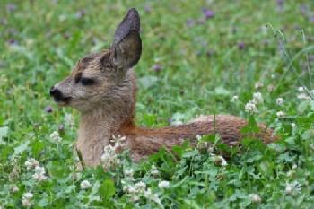 BEW1CF4C070_EDITORIAL_HiRes