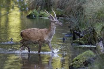 BEW1CF83C5D_EDITORIAL_HiRes-1