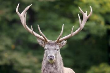 BEW1CF8880A_EDITORIAL_HiRes