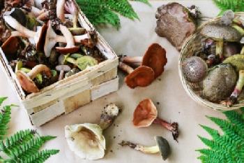 BEW1D0B3FBE_EDITORIAL_HiRes