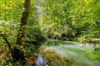 BEW1D11D578_EDITORIAL_HiRes