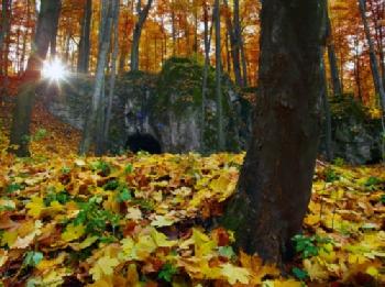 bewEA56AF_EDITORIAL_HiRes