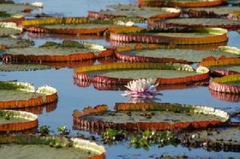 BGA245_EDITORIAL_HiRes