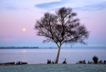 BGR58H_EDITORIAL_HiRes