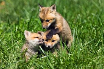 C09E7M_EDITORIAL_HiRes