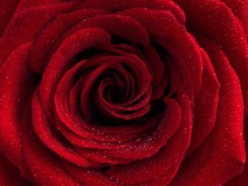 C553KJ_EDITORIAL_HiRes