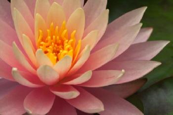 C6HEYA_EDITORIAL_HiRes