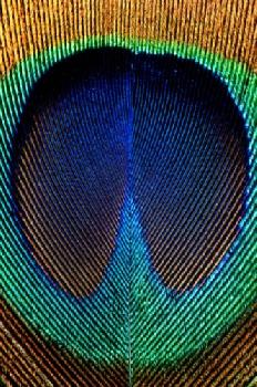 C7TADJ_EDITORIAL_HiRes