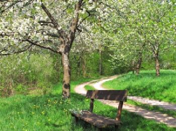 CFAYFC_EDITORIAL_HiRes