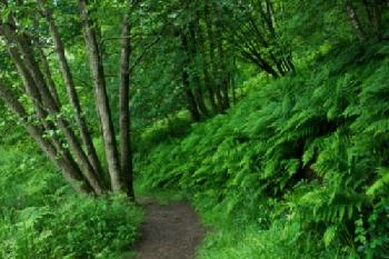 DACYRA_EDITORIAL_HiRes