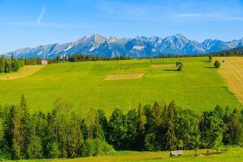 Widok na zielone pole z górami w tle