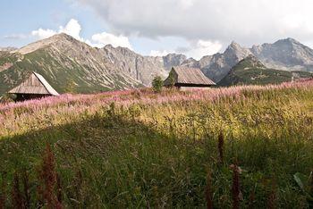 Drewniane domki w Tatrach