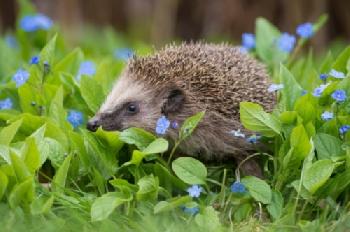 E02KFH_EDITORIAL_HiRes