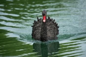 E4MBFT_EDITORIAL_HiRes