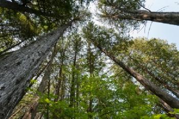 E4P775_EDITORIAL_HiRes