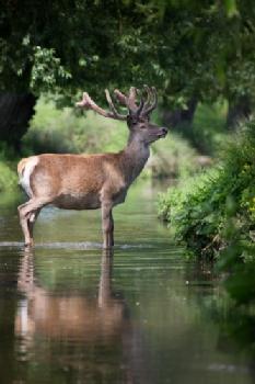 EG7BNE_EDITORIAL_HiRes