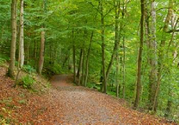 F4FPEB_EDITORIAL_HiRes