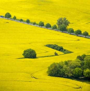 FB7W50_EDITORIAL_HiRes