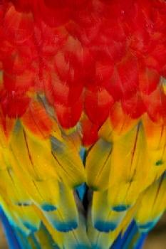 FBJRWK_EDITORIAL_HiRes